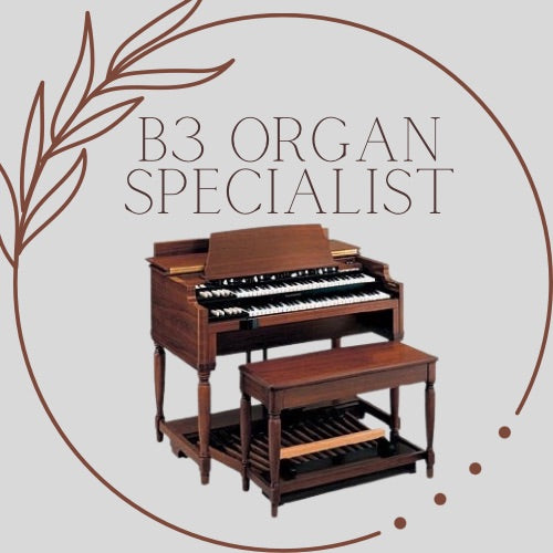 Hammond Vintage Organs